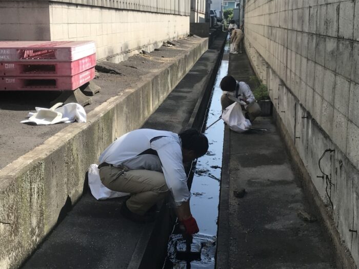 町内会溝清掃